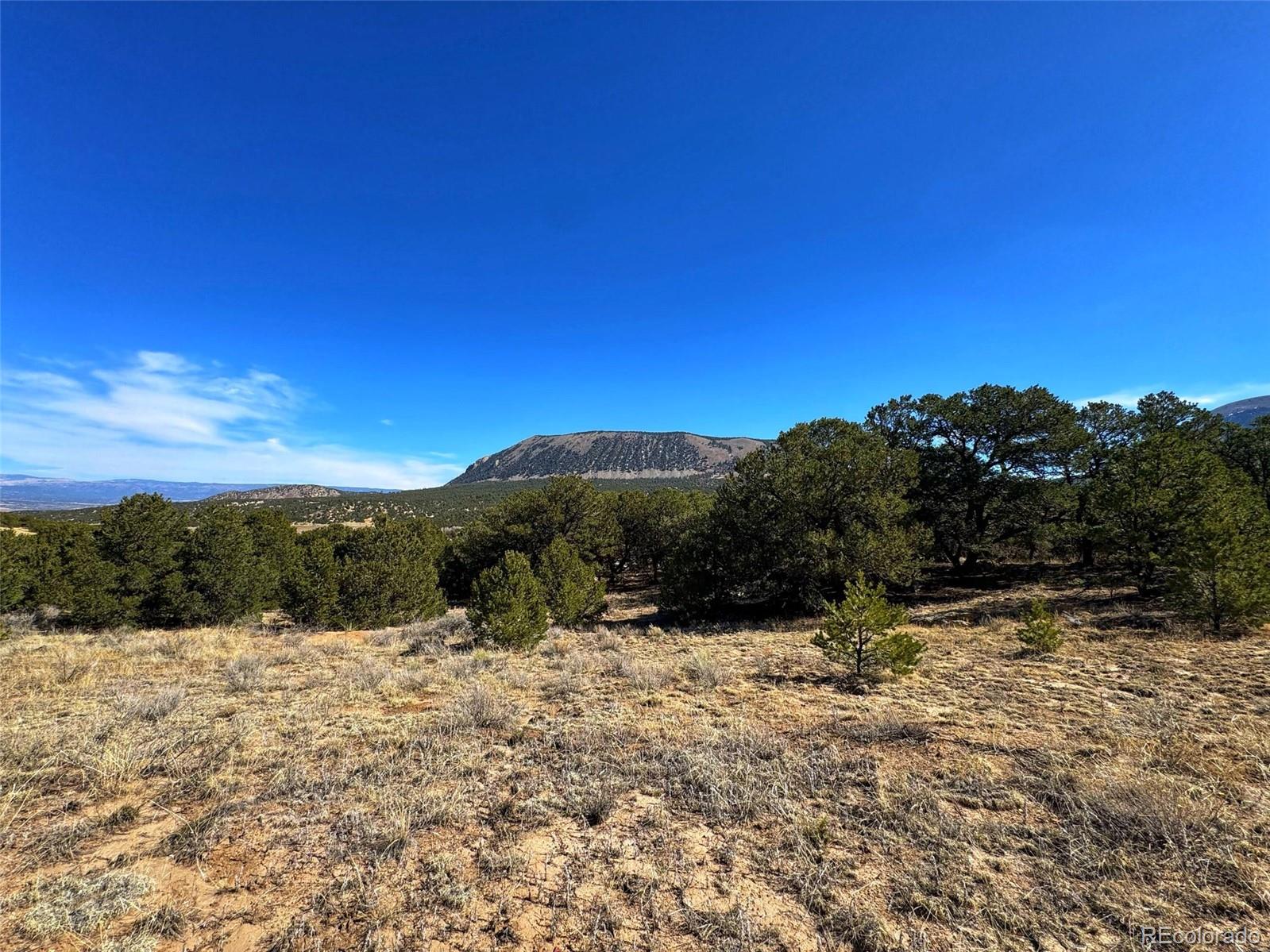 572 Tbd Country Road Gardner, CO 81040 - Photo 12 of 16 a view of a yard