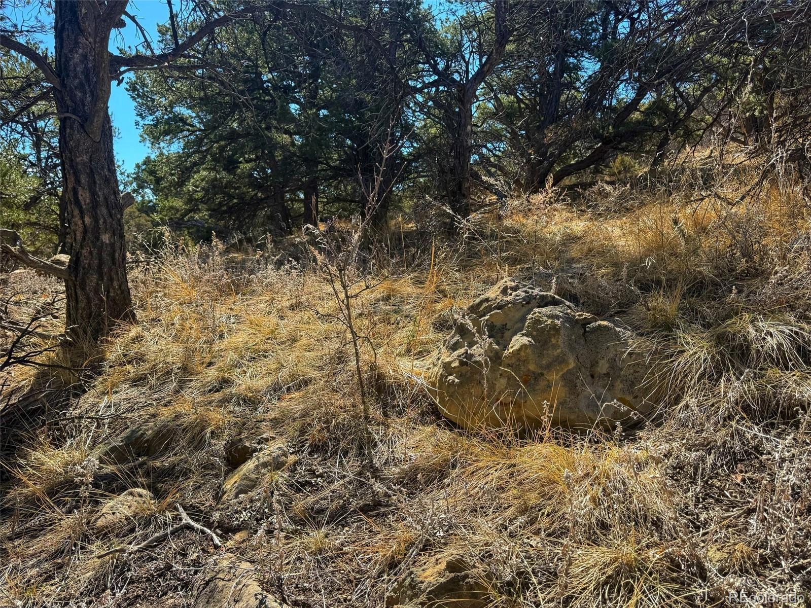 572 Tbd Country Road Gardner, CO 81040 - Photo 13 of 16