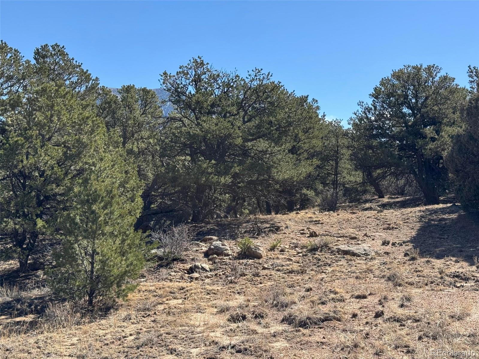 572 Tbd Country Road Gardner, CO 81040 - Photo 15 of 16 a view of a dry yard with trees