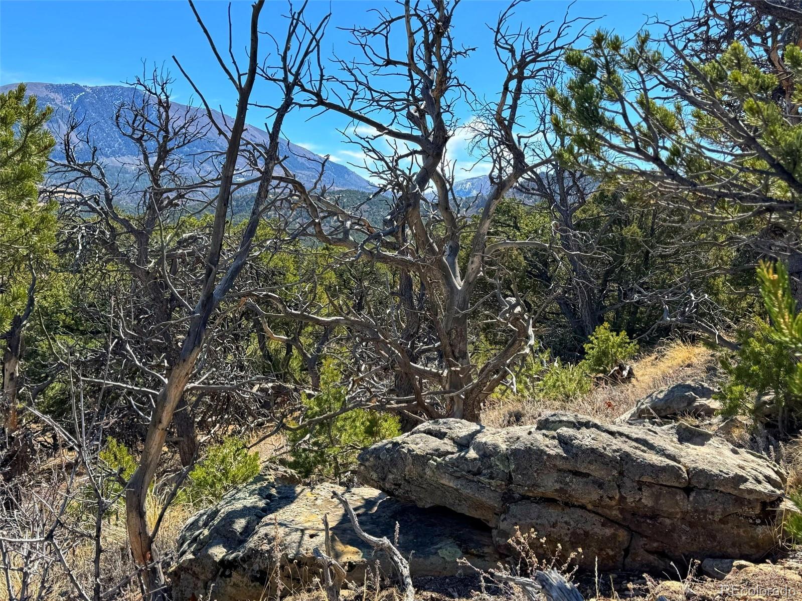 572 Tbd Country Road Gardner, CO 81040 - Photo 16 of 16 a view of outdoor space and a yard