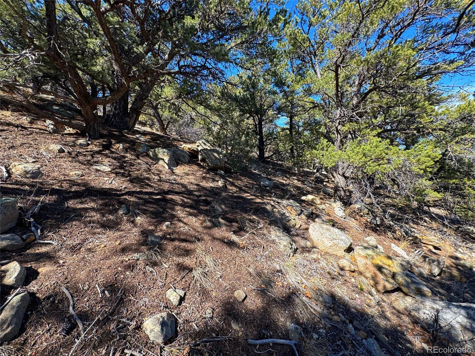 572 Tbd Country Road Gardner, CO 81040 - Photo 5 of 16 a view of a tree