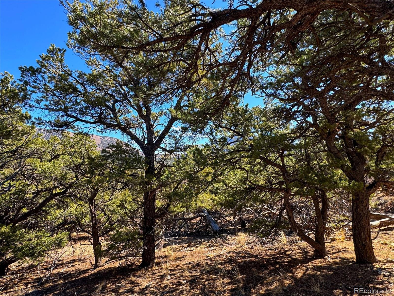 572 Tbd Country Road Gardner, CO 81040 - Photo 7 of 16