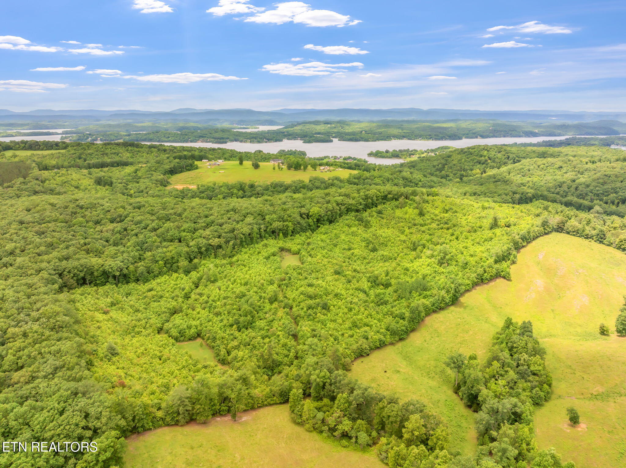 0 Grigsby Hollow Road Kingston, TN 37763 - Photo 26 of 34 9-web-or-mls-Grigsby Hollow Land-7