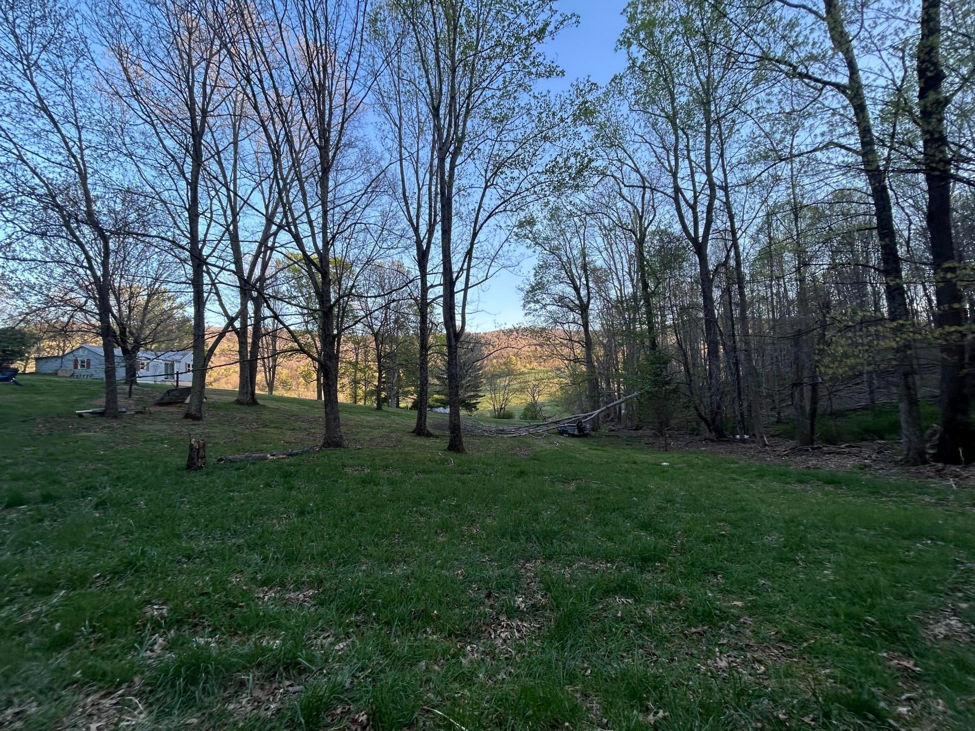3358 Zenith Road Gap Mills, WV 24941 - Photo 65 of 72 Gallery Image 65