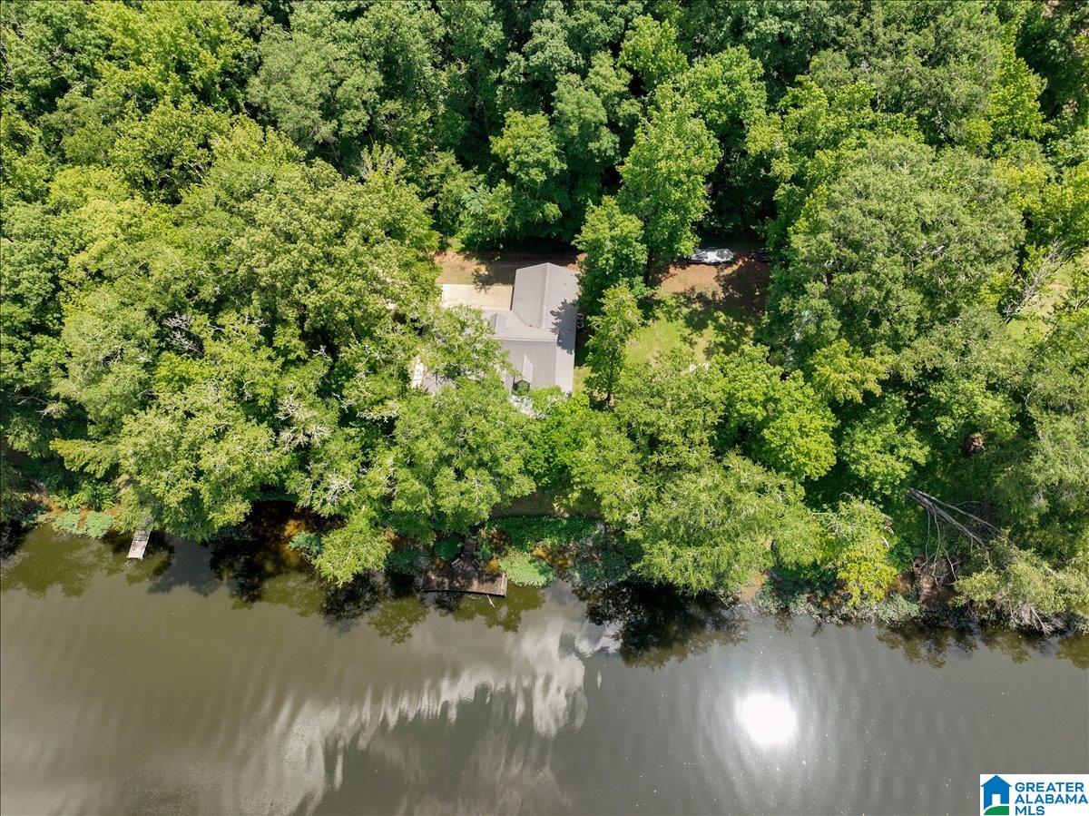 526 Boat Launch Road Quinton, AL 35130 - Photo 42 of 56
