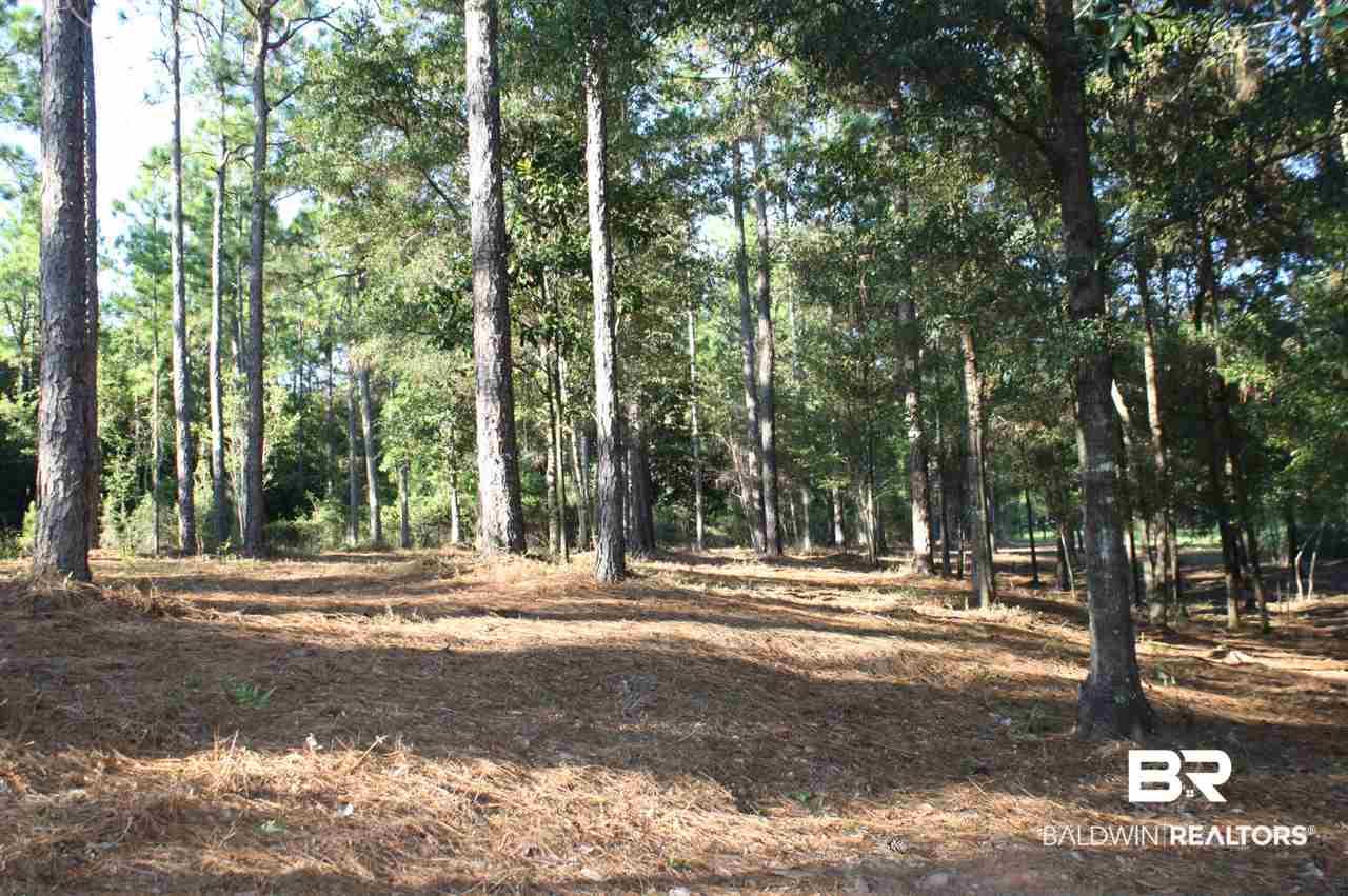 43 Shady Lane Hope Hull, AL 36043 - Photo 18 of 19