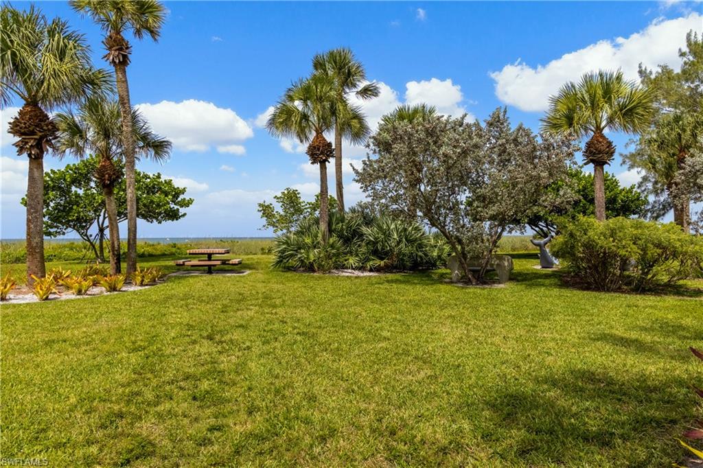 540 Rudder Road Naples, FL 34102 - Photo 11 of 37 View of yard