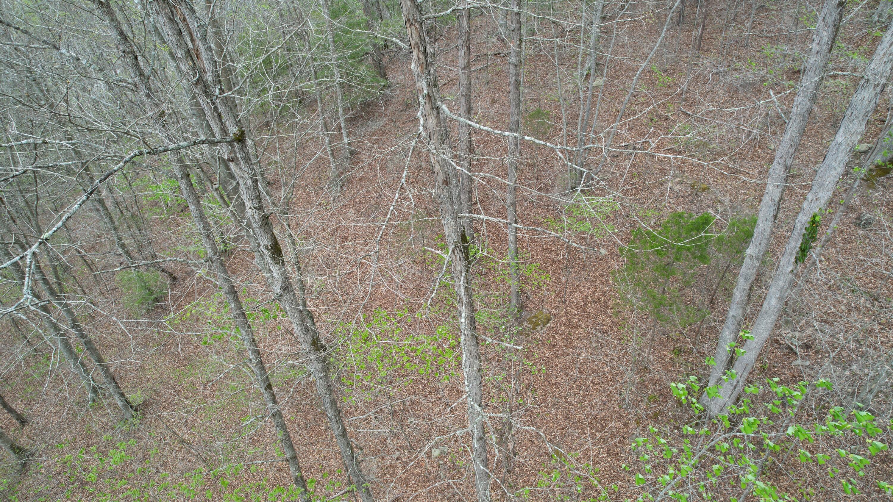 321 Mill Creek Road Jackson, KY 41339 - Photo 12 of 15 dji_fly_20260414_124244_14_1776185407686