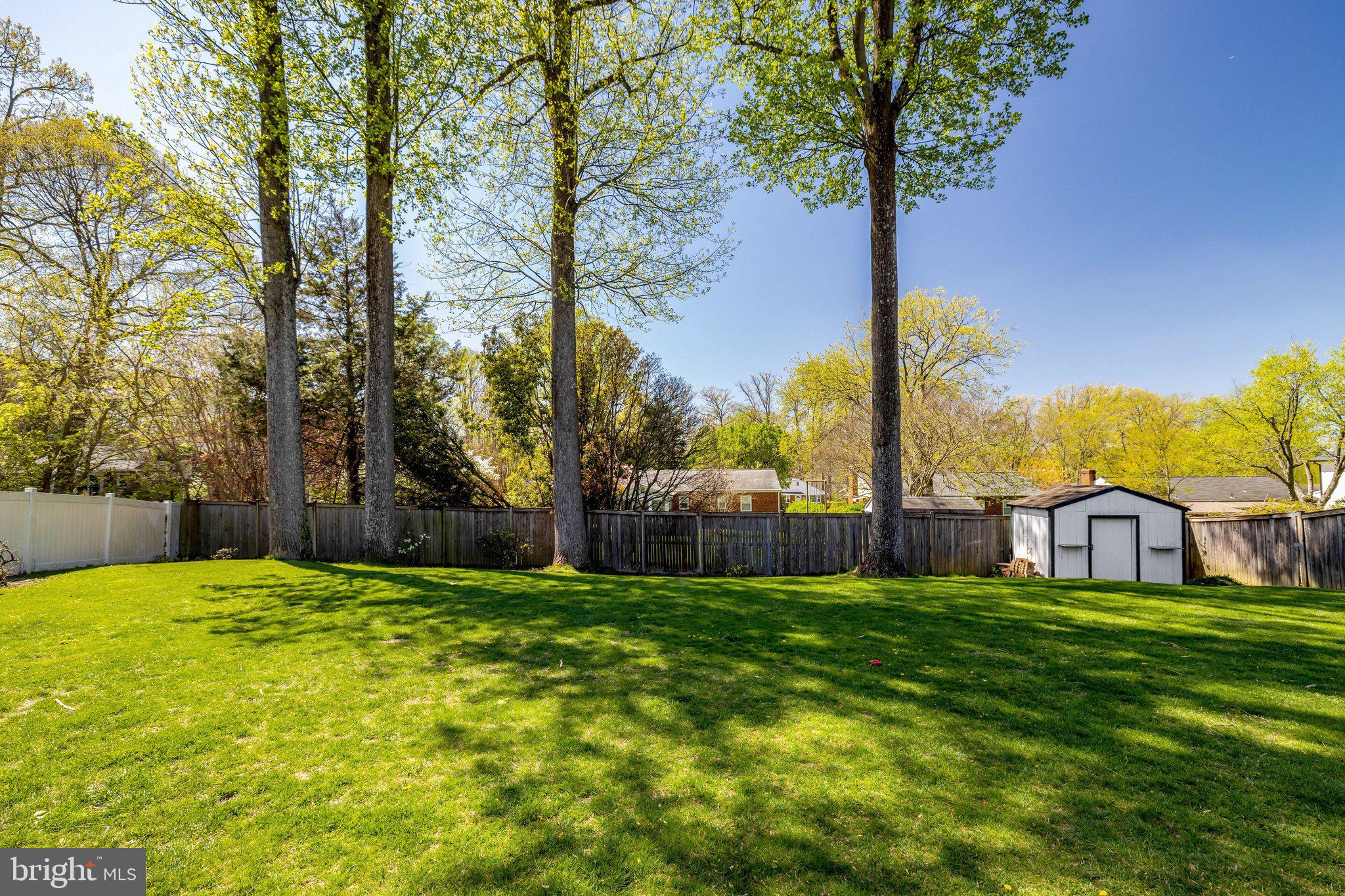 4132 Addison Road Fairfax, VA 22030 - Photo 54 of 58 a view of a tree in front of a house with a yard