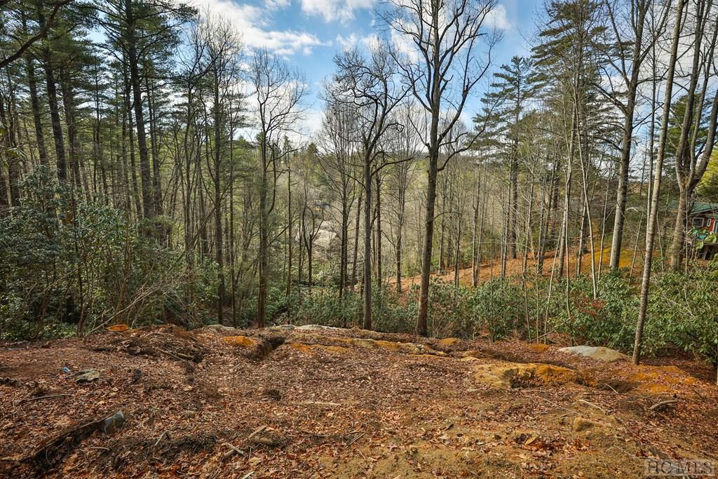 188 Foreman Road Highlands, NC 28741 - Photo 16 of 38 Gallery Image 16