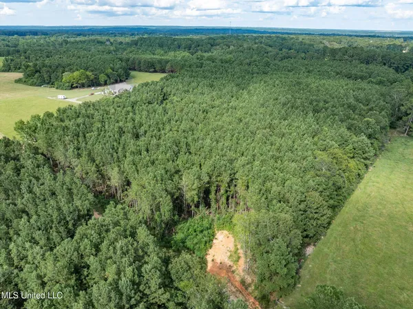 $148,320 | Parcel C Parcel C J Runnels Road, Petal, MS 39465