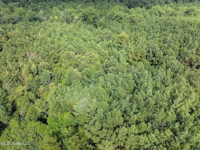 $148,320 | Parcel C Parcel C J Runnels Road, Petal, MS 39465
