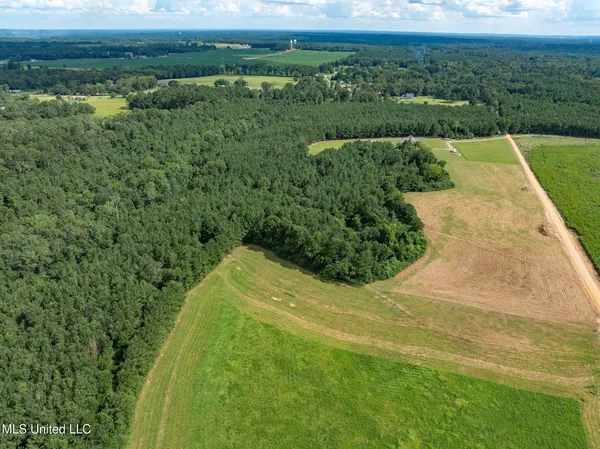 $148,320 | Parcel C Parcel C J Runnels Road, Petal, MS 39465