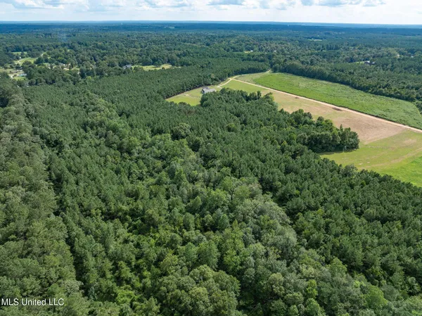 $148,320 | Parcel C Parcel C J Runnels Road, Petal, MS 39465