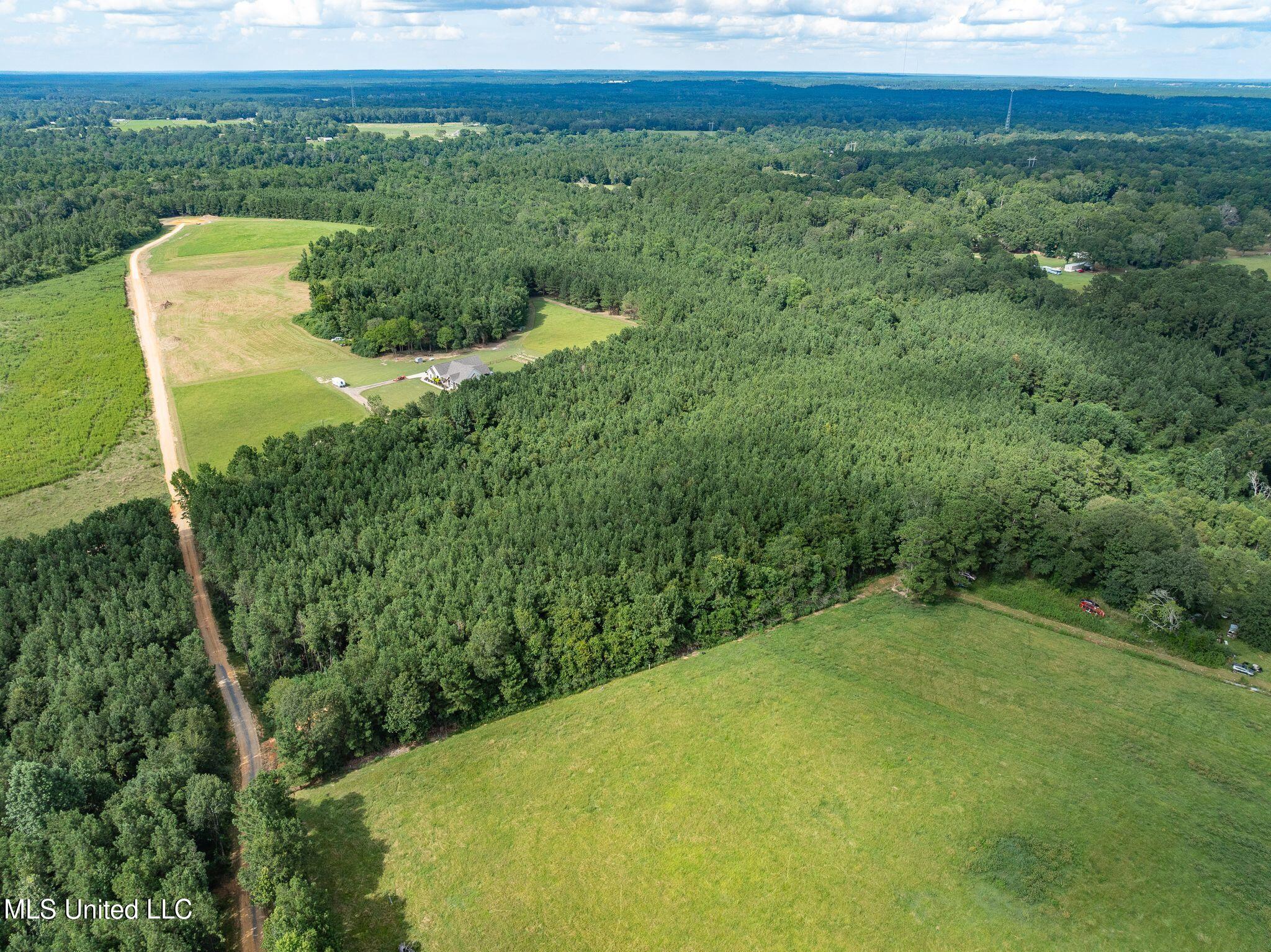 Parcel C Parcel C J Runnels Road Petal, MS 39465 - Photo 18 of 19 J_Runnels_Common-22