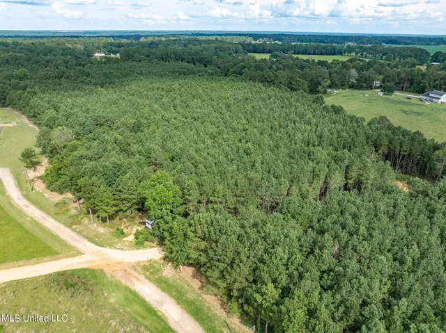 $148,320 | Parcel C Parcel C J Runnels Road, Petal, MS 39465