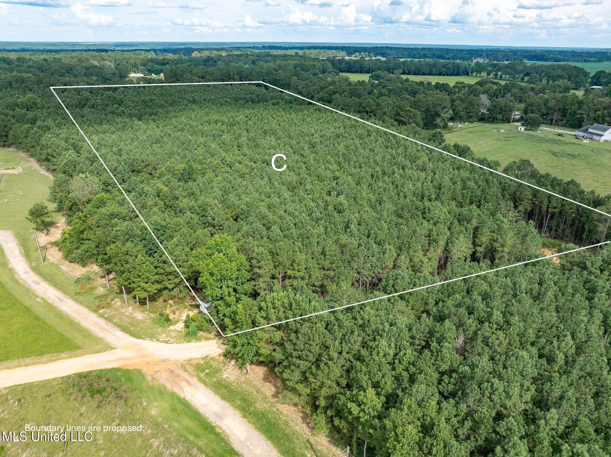 Parcel C Parcel C J Runnels Road Petal, MS 39465 - Photo 4 of 19 J_Runnels_C-16.1