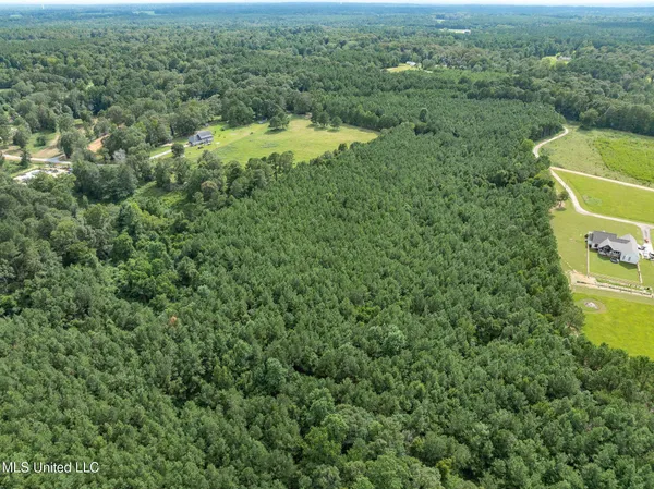 $148,320 | Parcel C Parcel C J Runnels Road, Petal, MS 39465