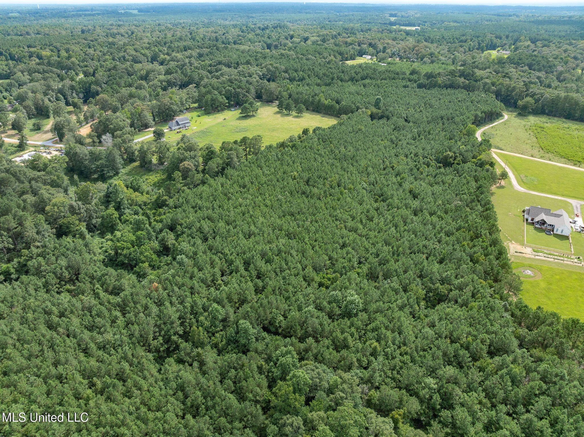 Parcel C Parcel C J Runnels Road Petal, MS 39465 - Photo 5 of 19 J_Runnels_C-19.0