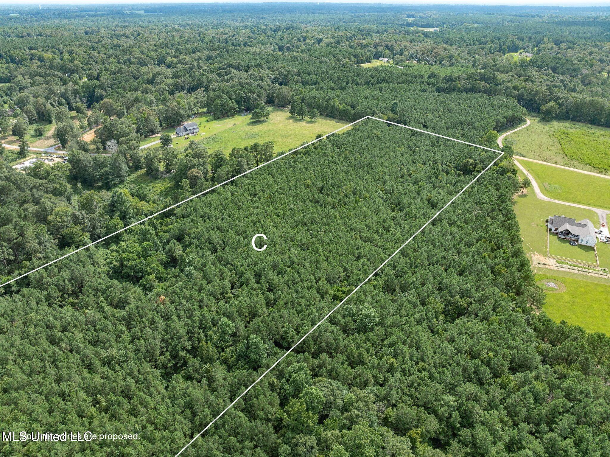 Parcel C Parcel C J Runnels Road Petal, MS 39465 - Photo 6 of 19 J_Runnels_C-19.1