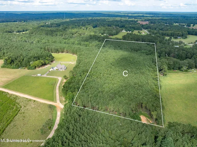 $148,320 | Parcel C Parcel C J Runnels Road, Petal, MS 39465
