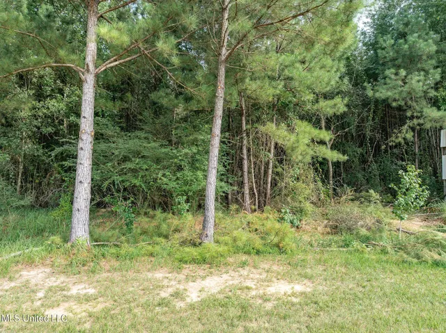 $148,320 | Parcel C Parcel C J Runnels Road, Petal, MS 39465