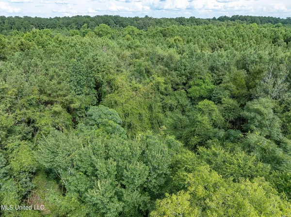 $148,320 | Parcel C Parcel C J Runnels Road, Petal, MS 39465