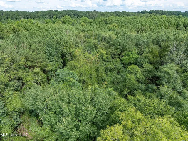 $148,320 | Parcel C Parcel C J Runnels Road, Petal, MS 39465