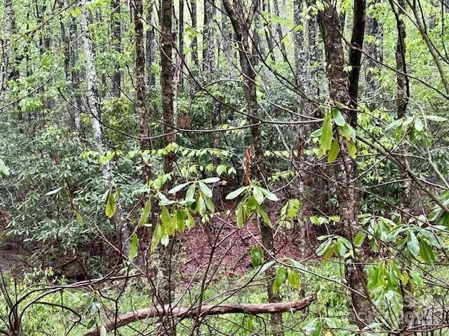 $110,000 | Tbd Goshen Drive, Unit 19, Boone, NC 28607