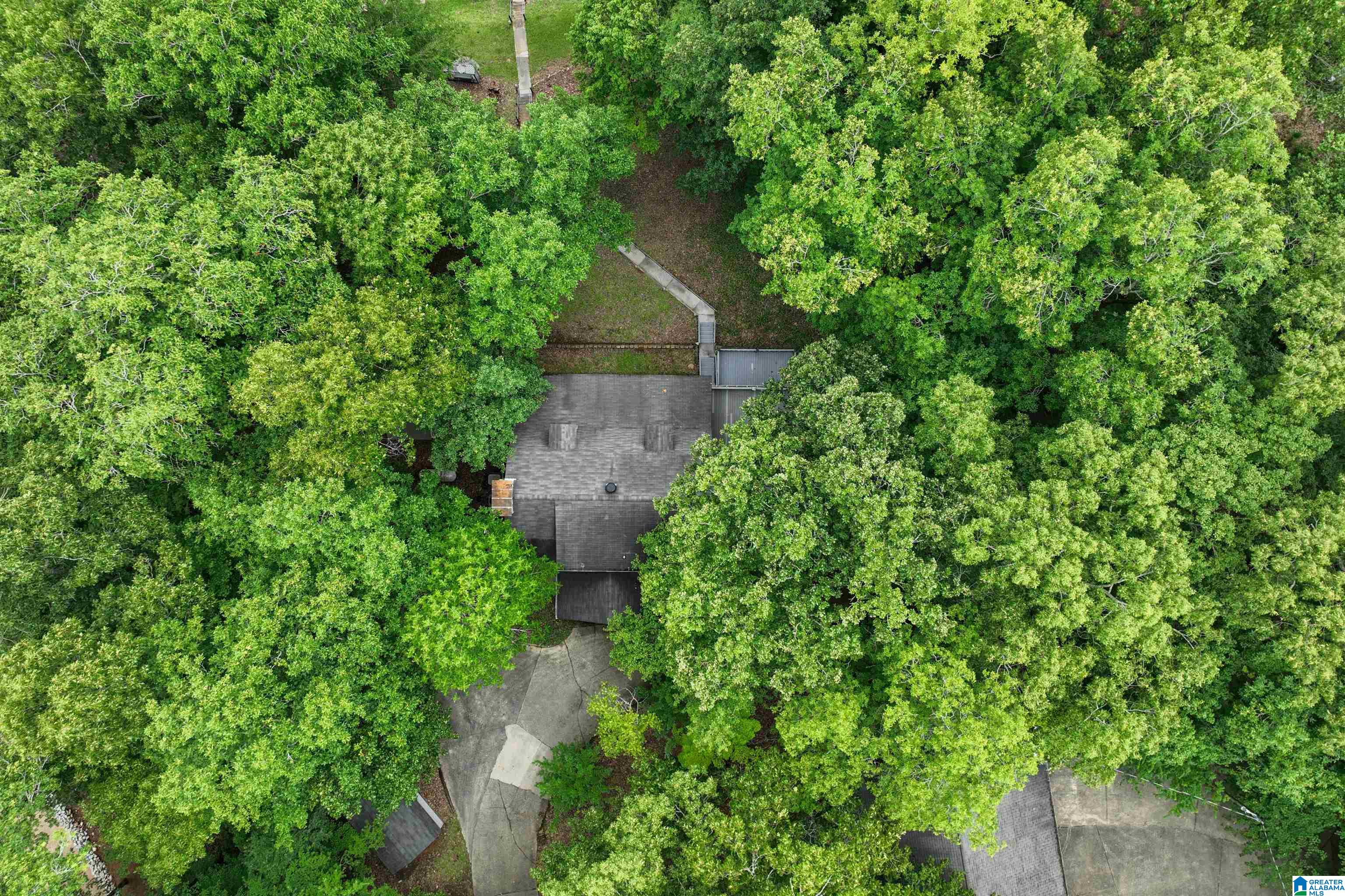 840 Black Acres Road Cropwell, AL 35054 - Photo 64 of 92