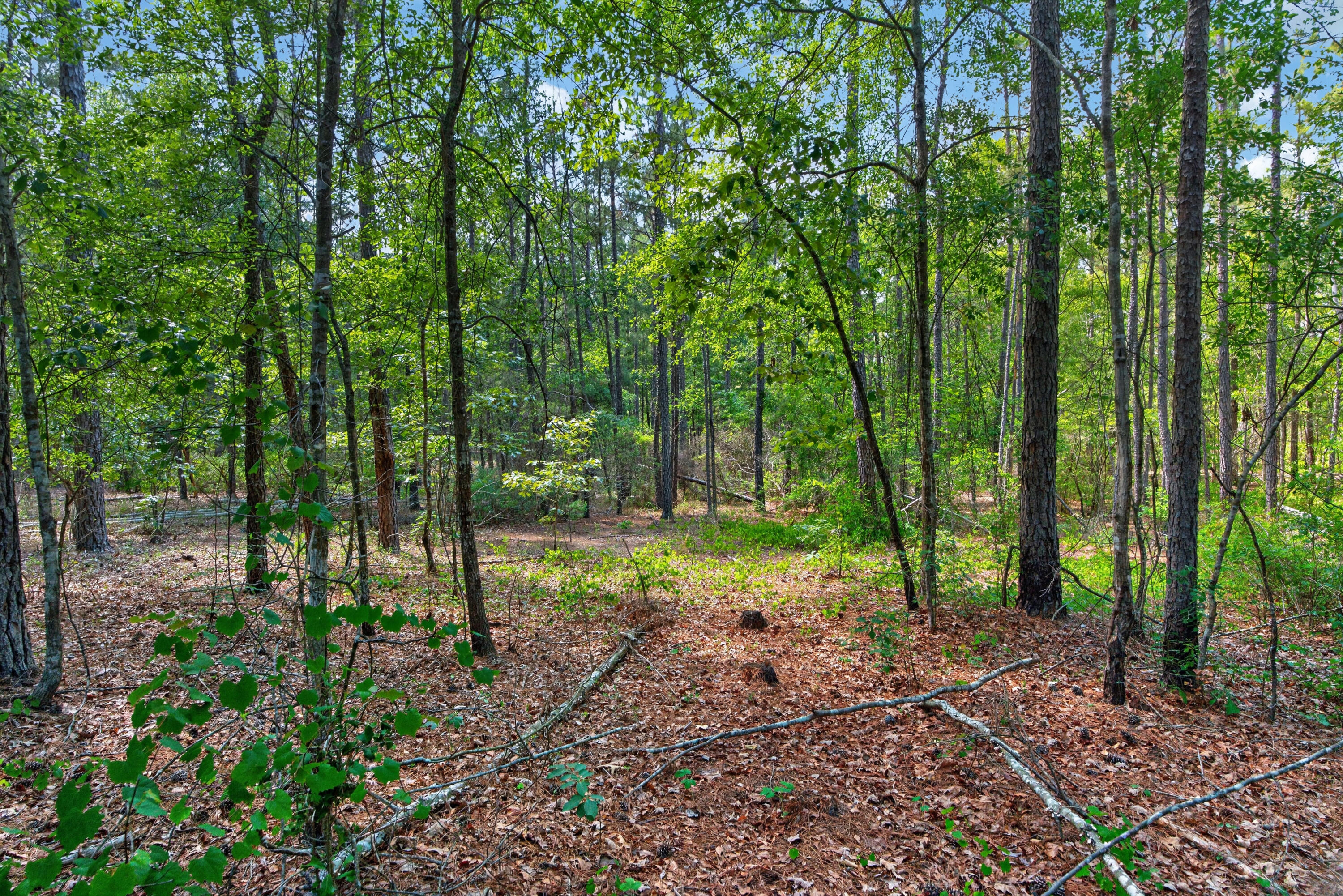 5120 North Brewington Road, Unit 10 Alcolu, SC 29001 - Photo 3 of 40 DSC09227