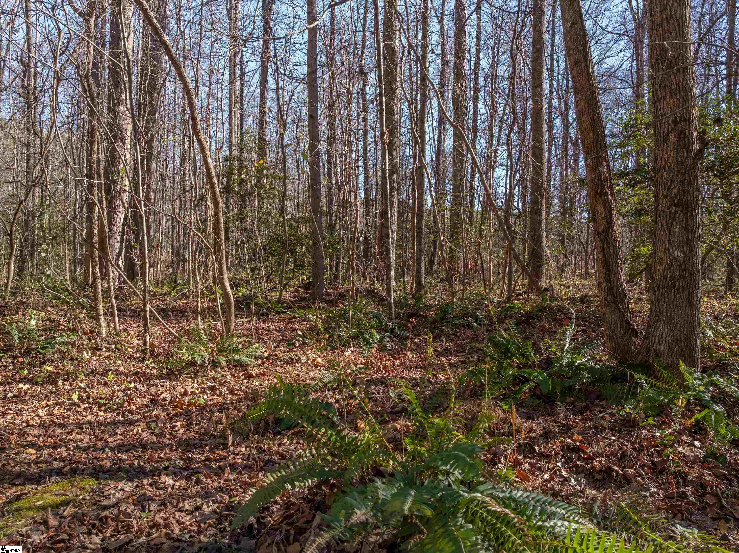 0 Pittman Road Landrum, SC 29356 - Photo 13 of 25