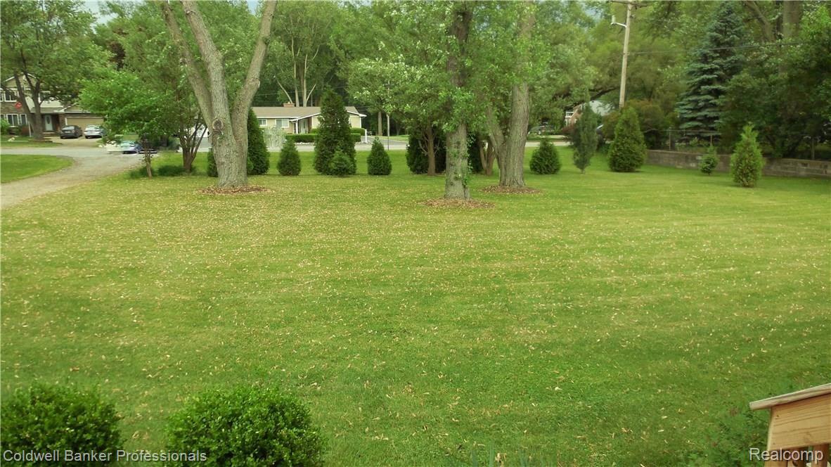 9659 Wayne Road Livonia, MI 48150 - Photo 4 of 29 002.2 Vast Front Yard