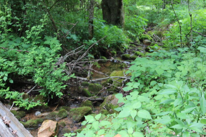 0 Simcox Road Mountain City, TN 37683 - Photo 2 of 7 CREEK