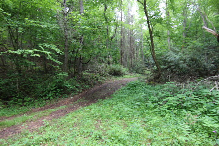0 Simcox Road Mountain City, TN 37683 - Photo 3 of 7 EASY ACCESS ONTO PROPERTY
