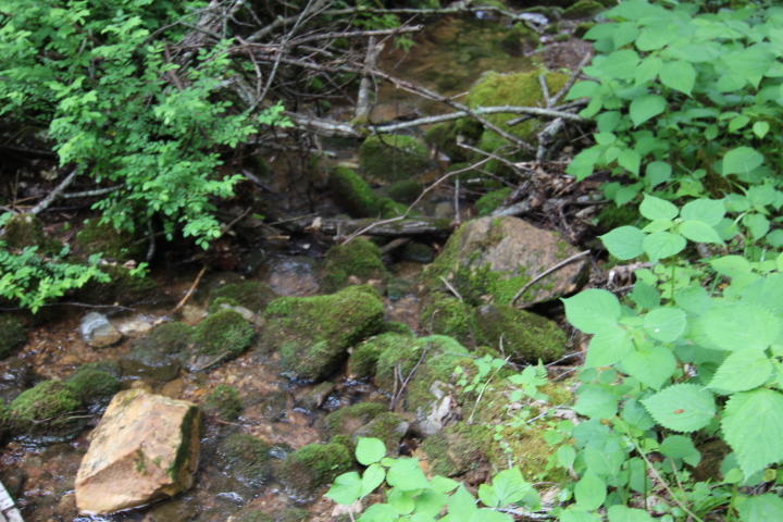 0 Simcox Road Mountain City, TN 37683 - Photo 7 of 7 ANOTHER VIEW OF CREEK