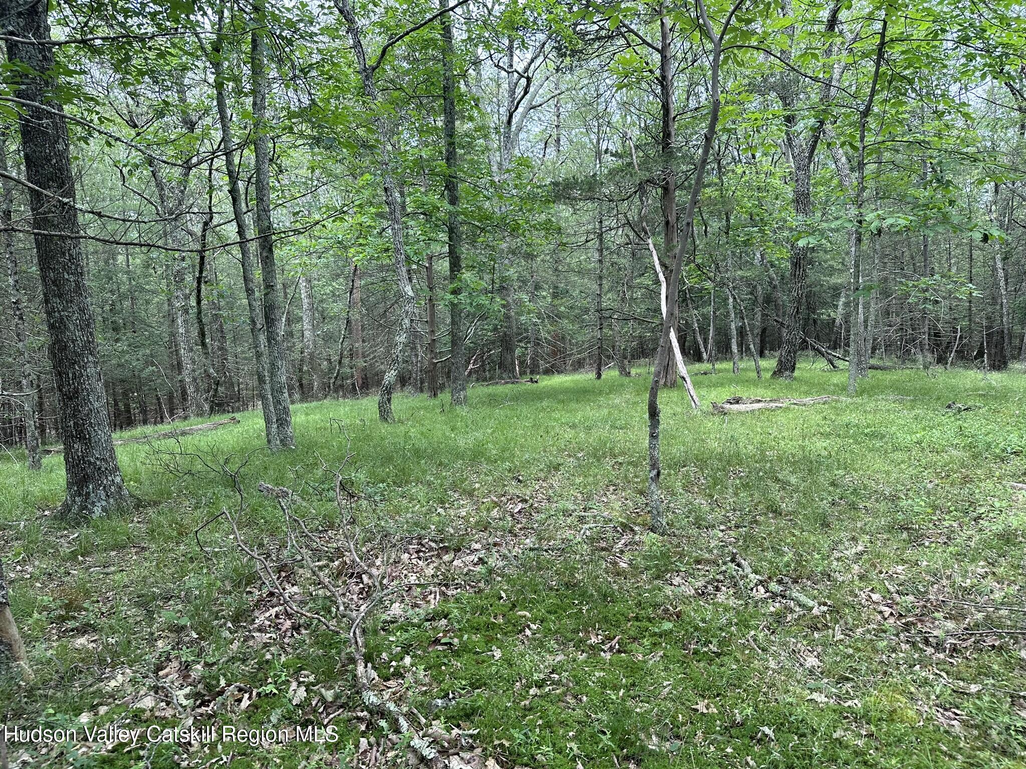 506 Rivka Road Saugerties, NY 12477 - Photo 8 of 14 IMG_3471