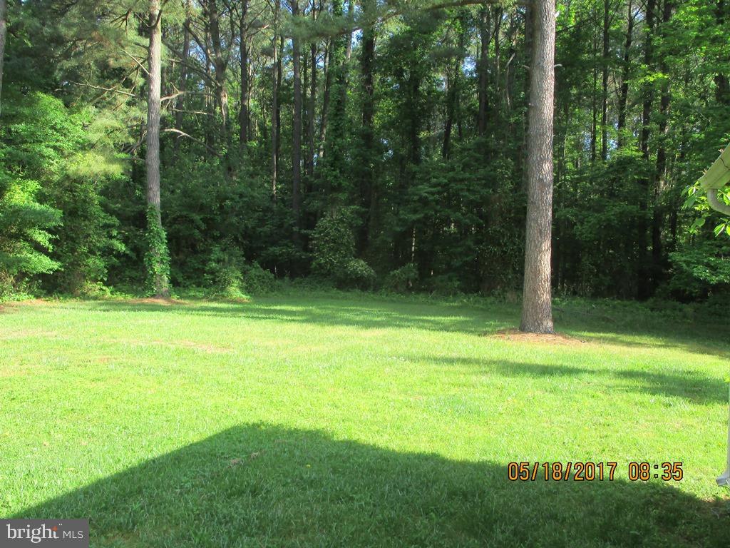 129 Worcester Road Stevensville, MD 21666 - Photo 3 of 15 back yard