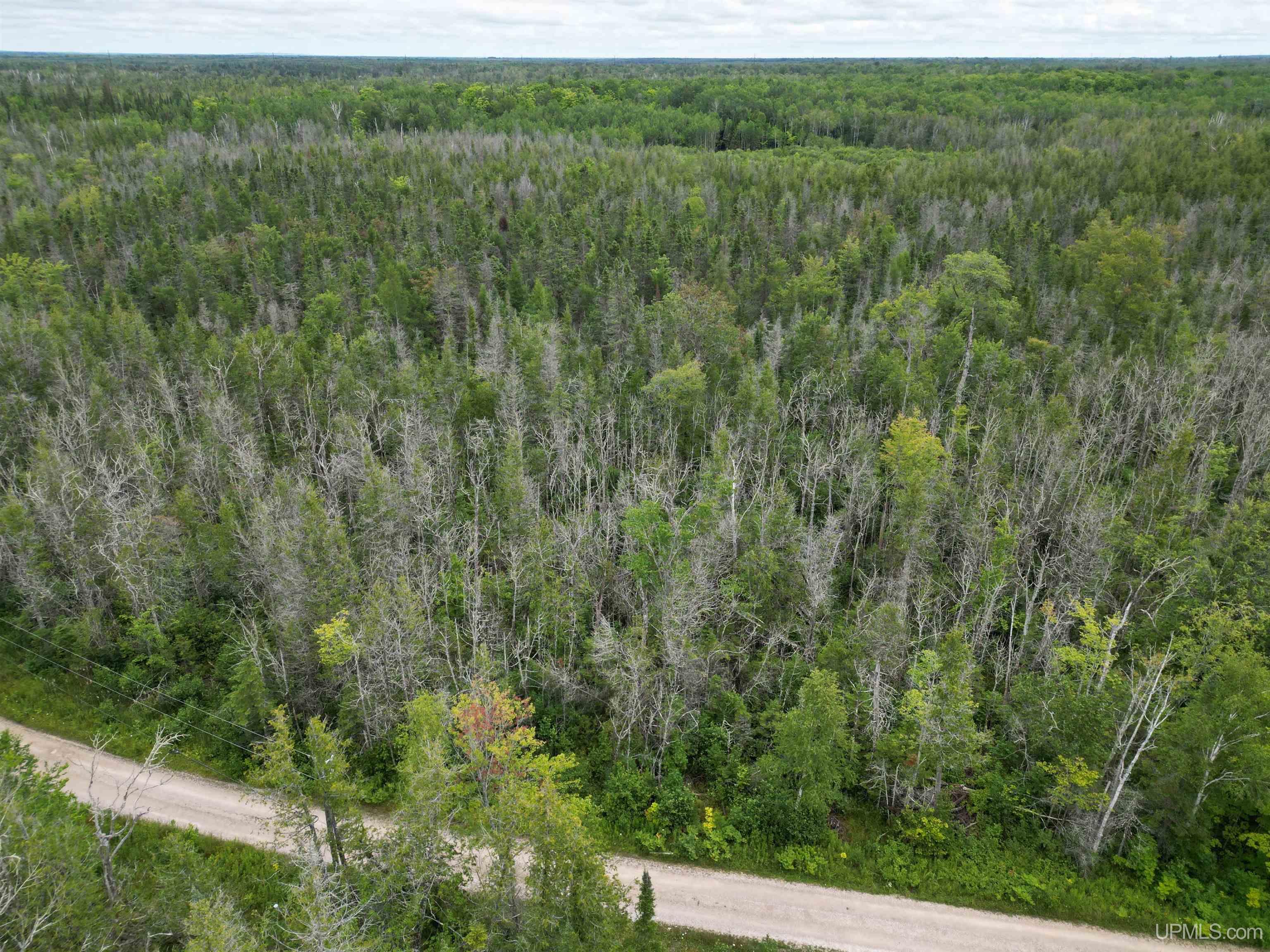 5965 Milakokia Lake Road Gould City, MI 49838 - Photo 39 of 41