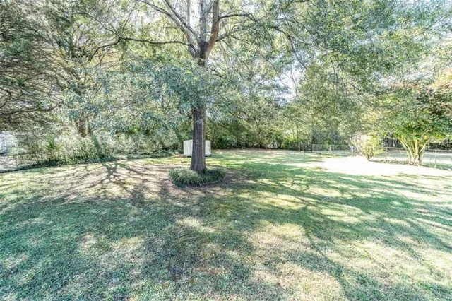 a view of a field with a tree
