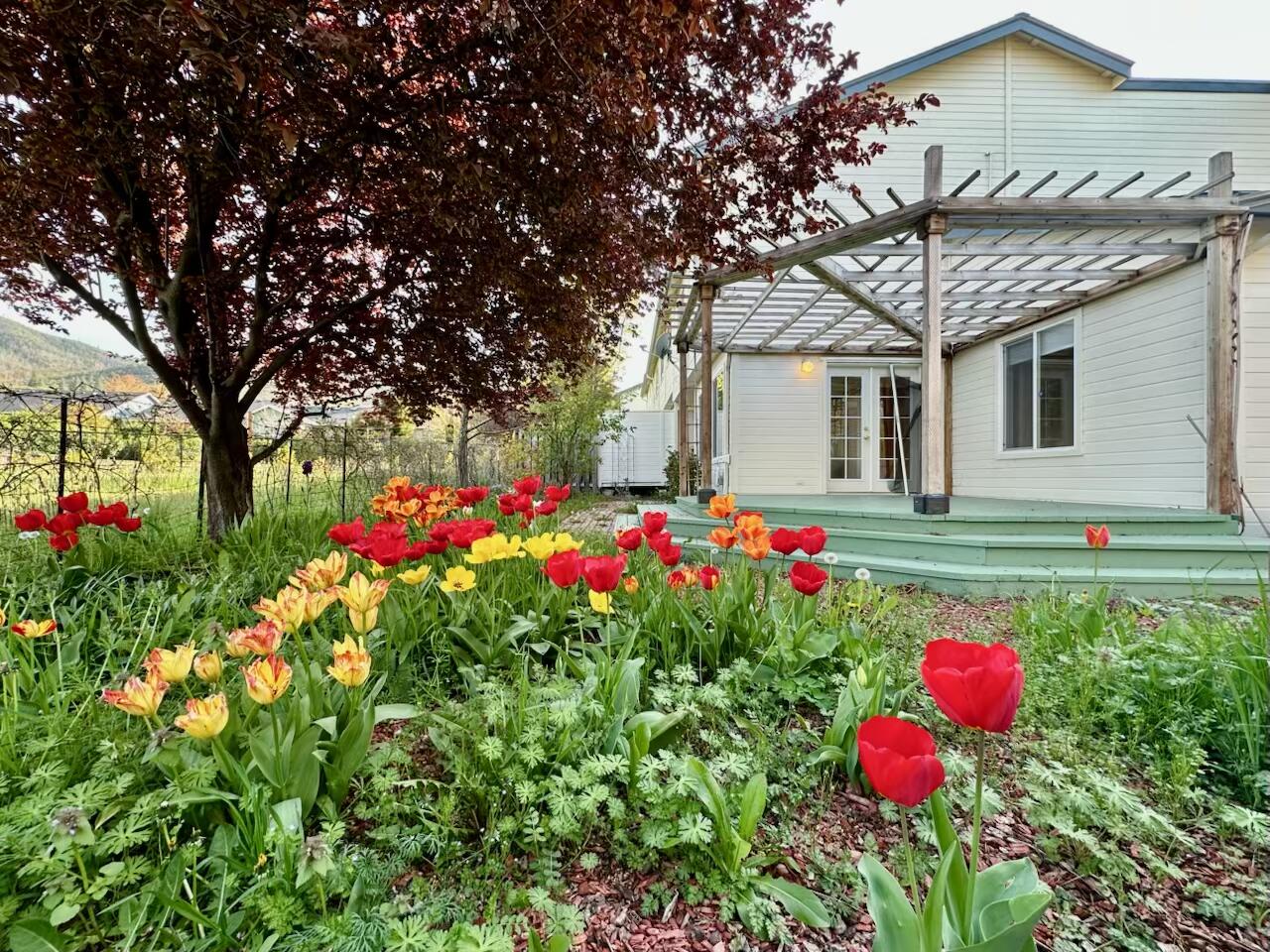 490 Tulipan Way Talent, OR 97540 - Photo 4 of 44 FullSizeRender 8