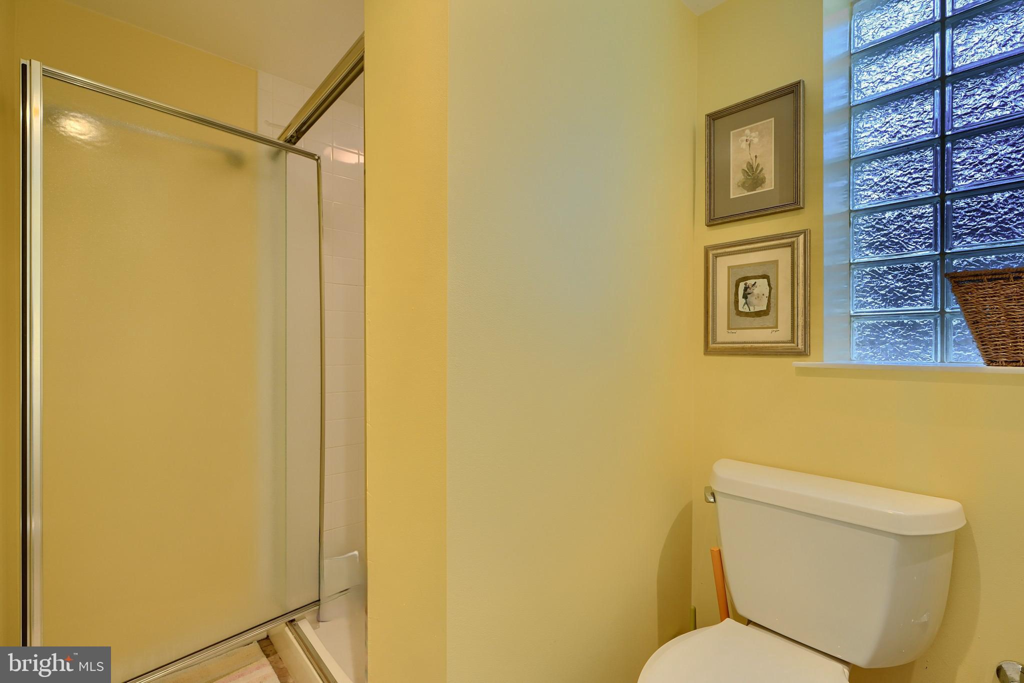 9715 Saxony Road Silver Spring, MD 20910 - Photo 29 of 31 a white toilet sitting next to a shower curtain