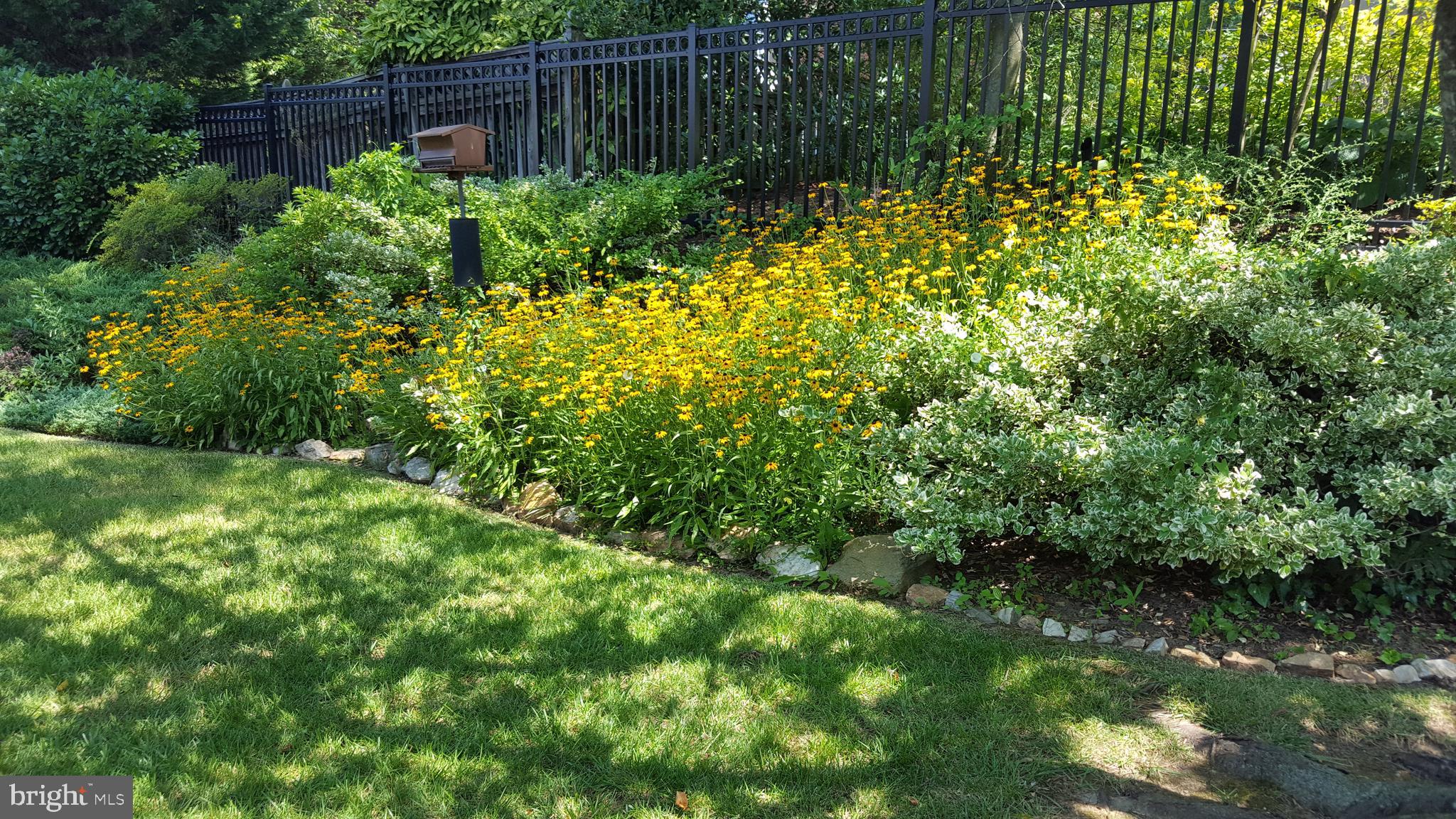 4709 River Road Bethesda, MD 20816 - Photo 48 of 52