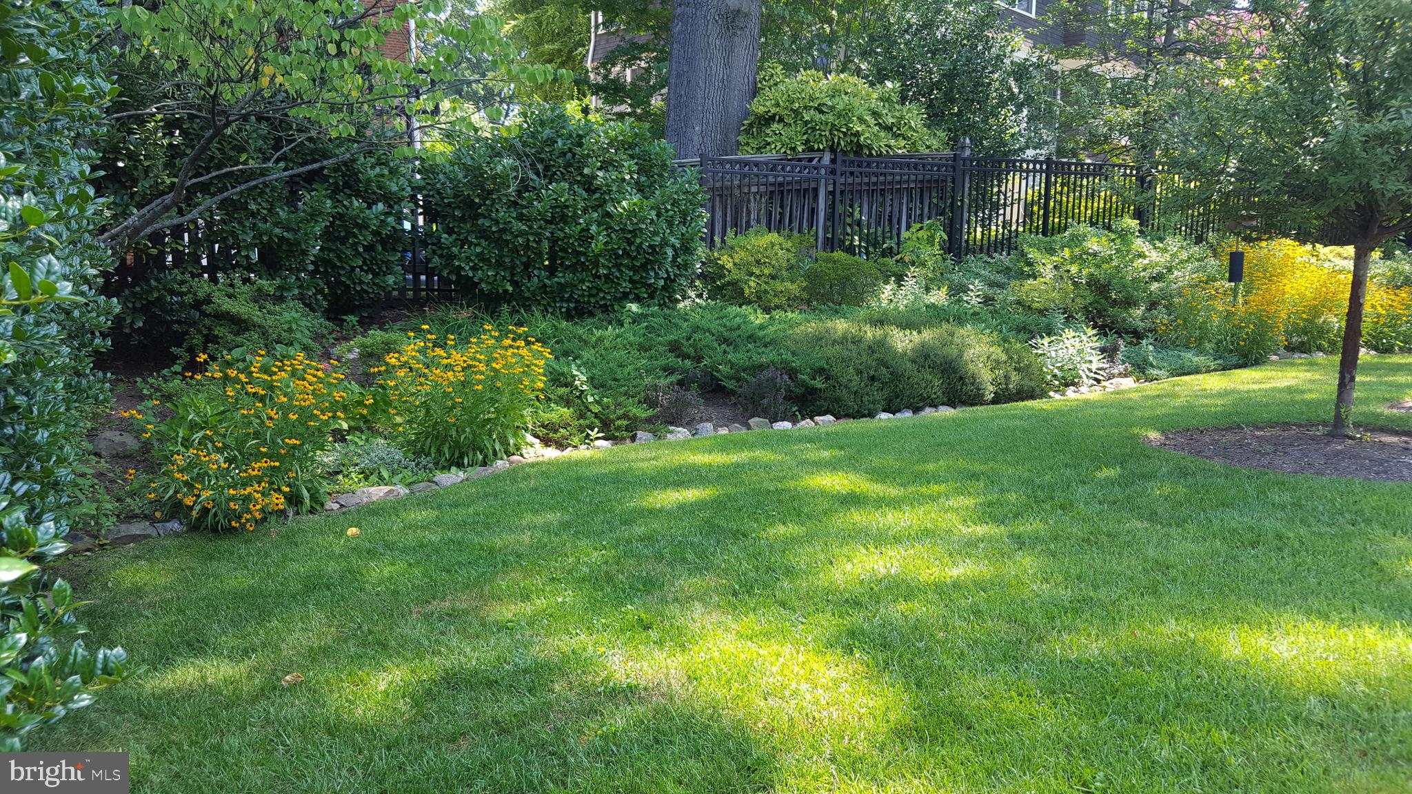 4709 River Road Bethesda, MD 20816 - Photo 49 of 52