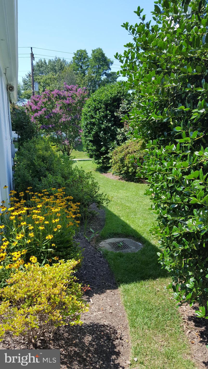 4709 River Road Bethesda, MD 20816 - Photo 52 of 52