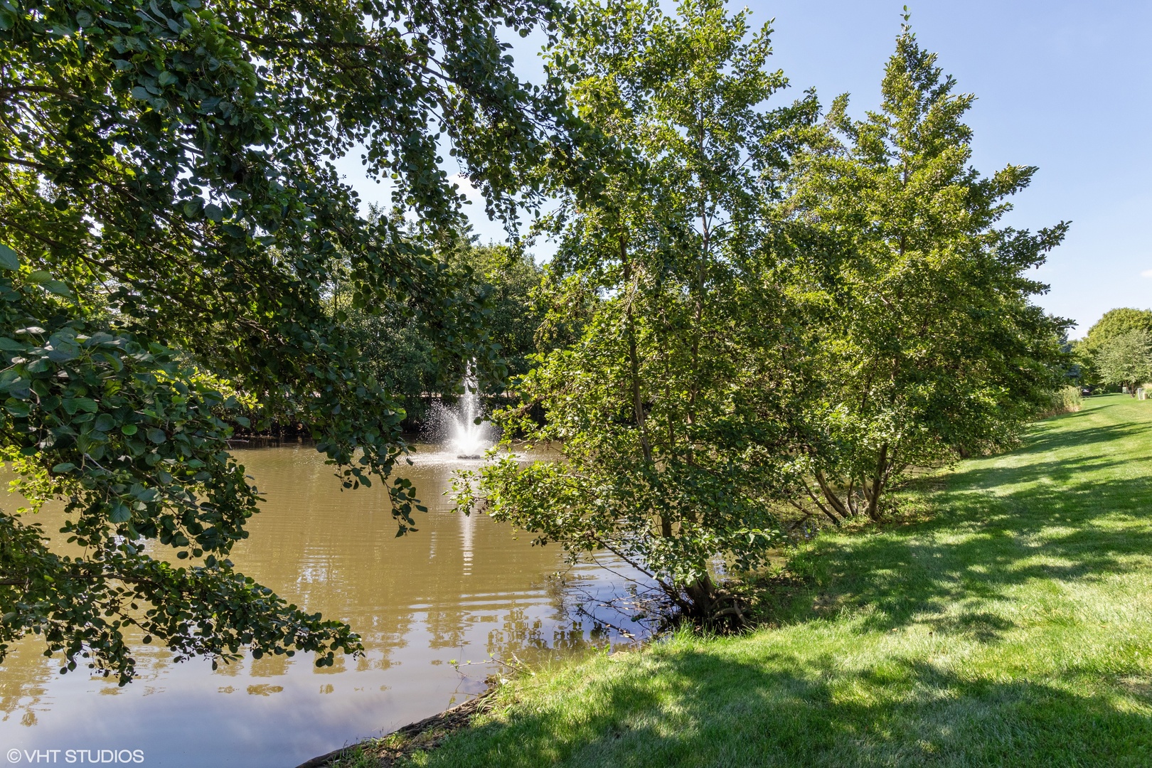 53 Braxton Lane, Unit 53 Aurora, IL 60504 - Photo 15 of 17 a view of a lake with a tree