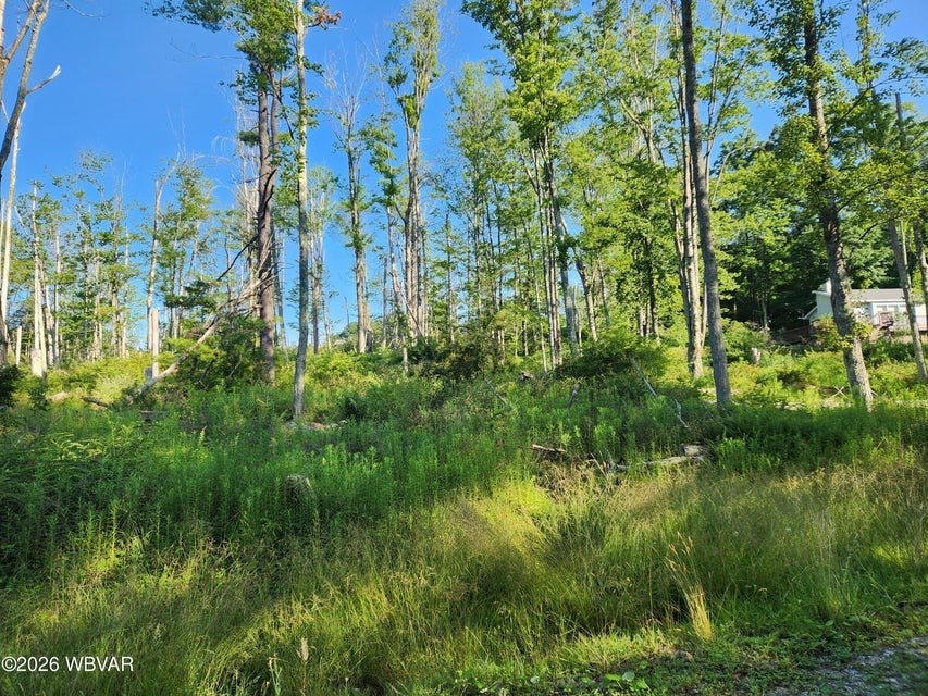 Lot #4 Rider Lane Muncy Valley, PA 17758 - Photo 6 of 6 Gallery Image 6