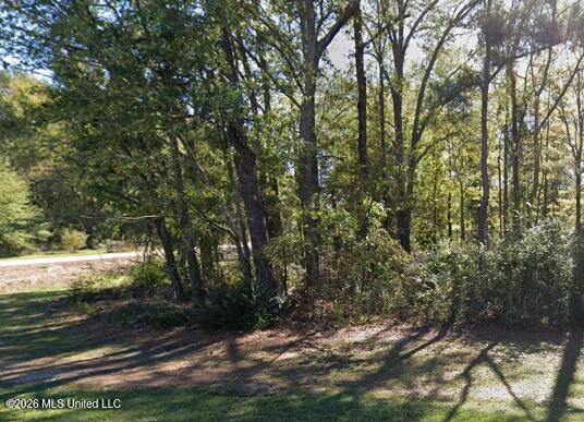 18 Mississippi Brandon, MS 39042 - Photo 6 of 10 Screenshot 2026-03-31 153153