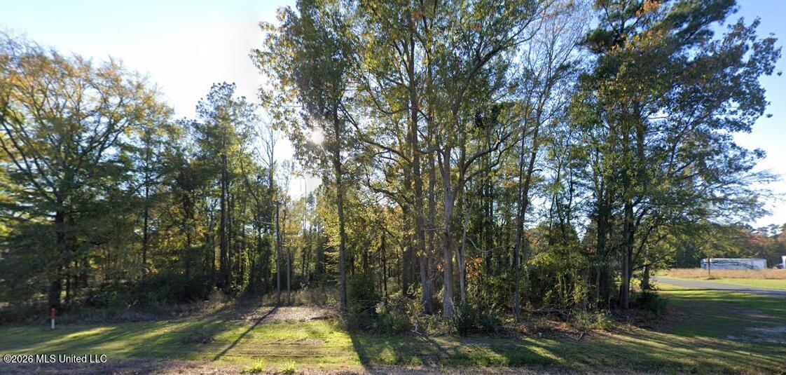 18 Mississippi Brandon, MS 39042 - Photo 8 of 10 Screenshot 2026-03-31 153526