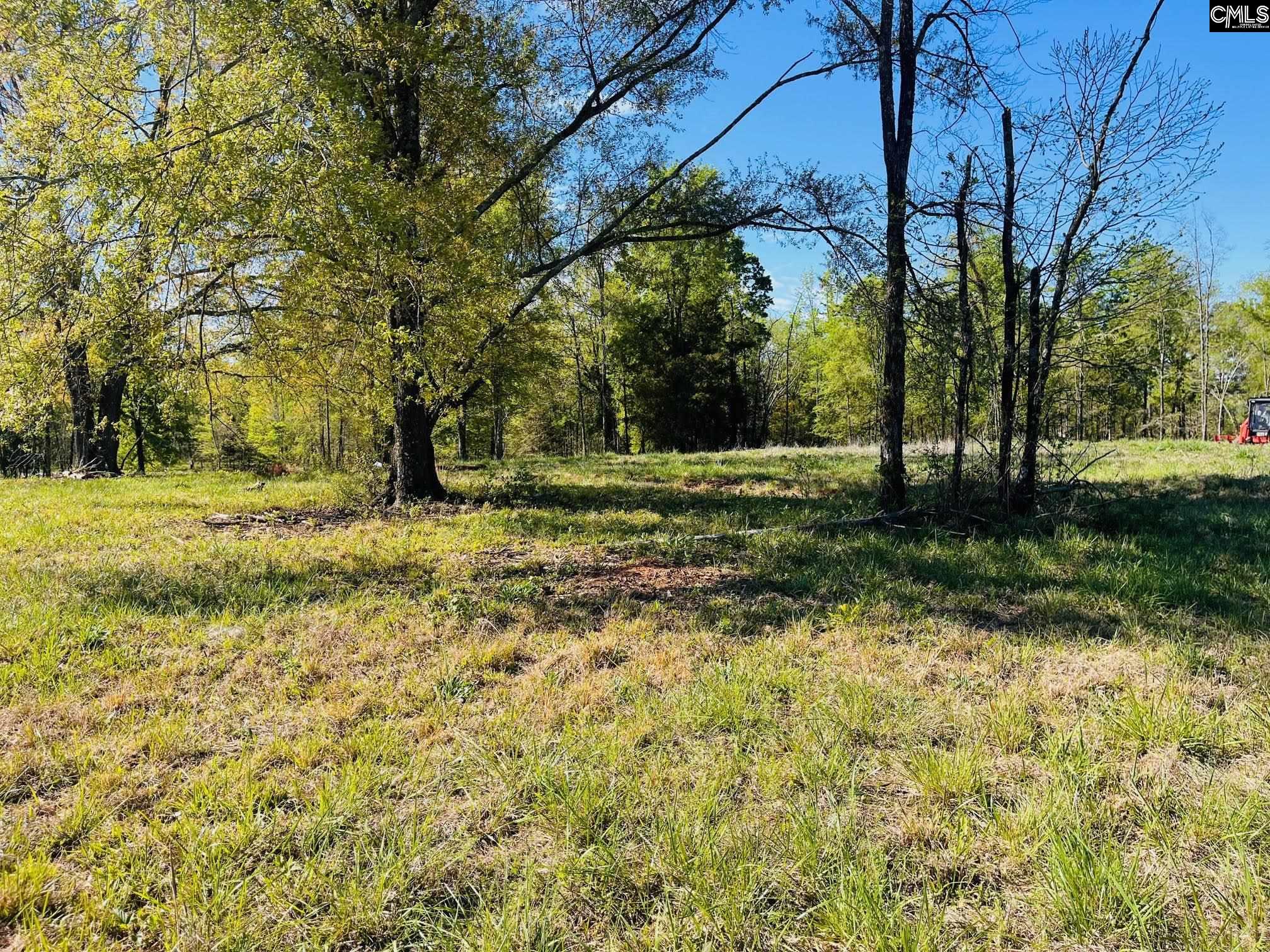 0 Lands End Lane Prosperity, SC 29127 - Photo 7 of 20